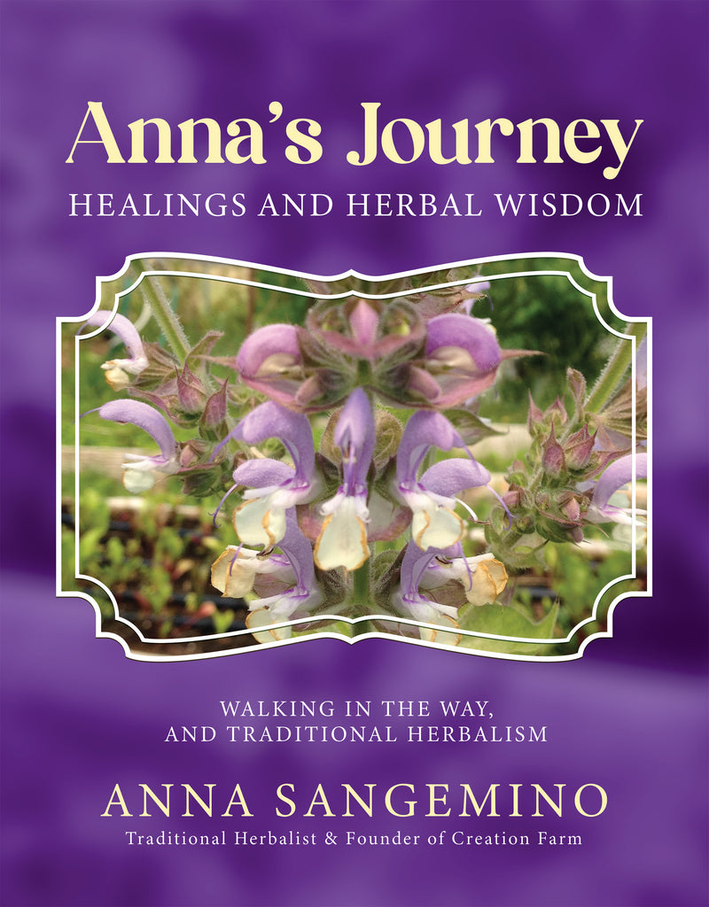 Anna’s Journey: Healings and Herbal Wisdom
