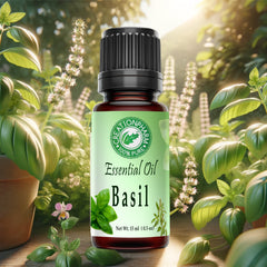 Huile Essentielle de Basilic 100% Pure - Albahaca Aceite Esencial - Aceite de Albahaca