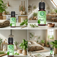 Huile Essentielle de Basilic 100% Pure - Albahaca Aceite Esencial - Aceite de Albahaca