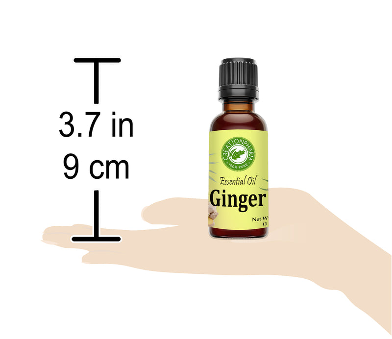 Ginger Essential Oil 100% Pure Creation Pharm -  Aceite esencial de jengibre - Creation Pharm
