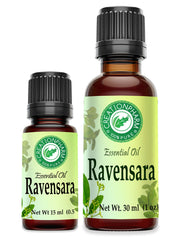 Ravensara Essential Oil 100% Pure Creation Pharm - Aceite esencial Ravensara - Creation Pharm