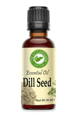 Dill Seed Oil 30ml (1oz) - Dill Essential Oil 100% Pure from Creation Pharm - Creation Pharm